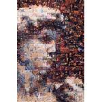 Robert Silvers Photomosaic, Michelangelo